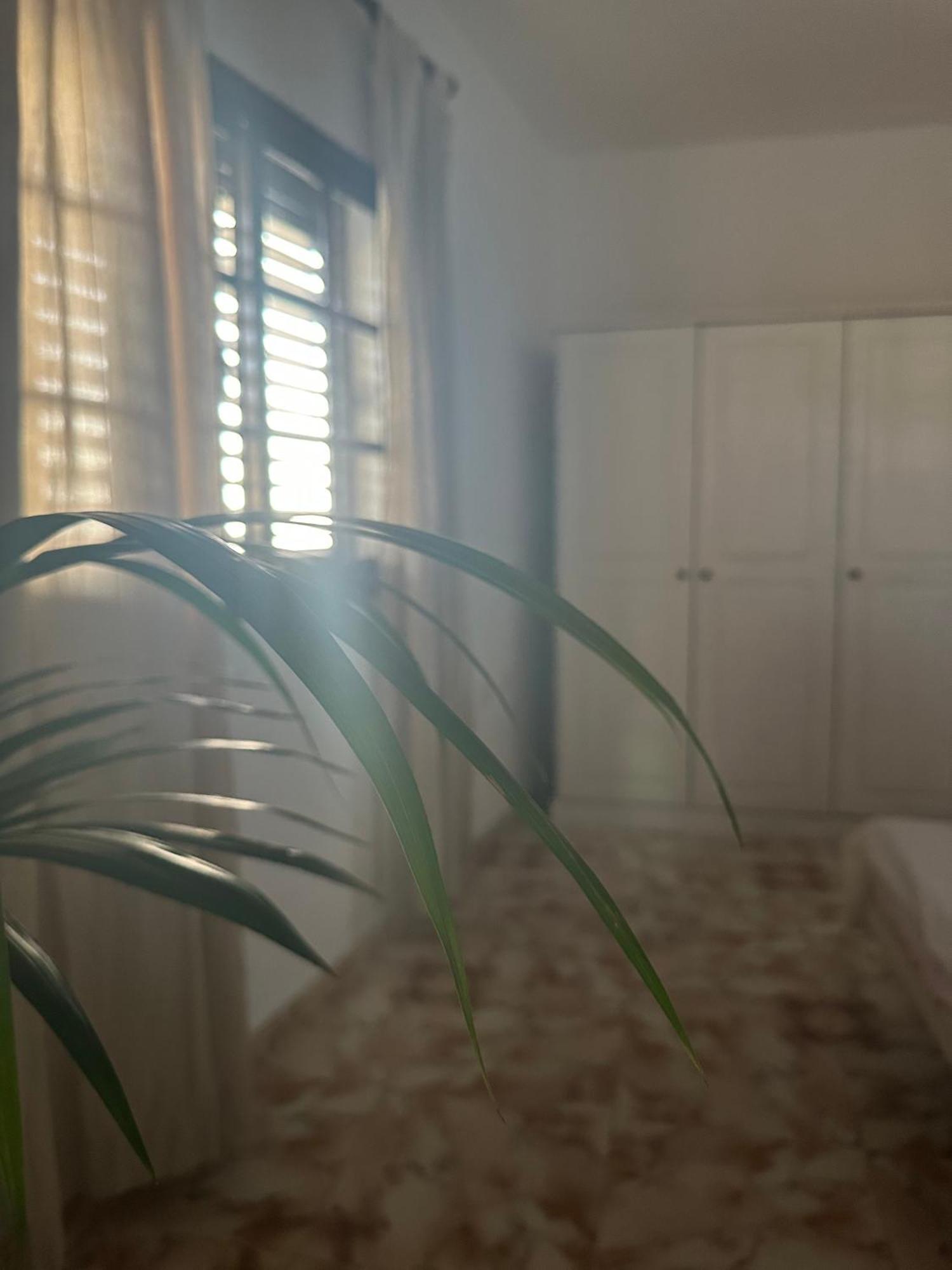Apartamento Fortaleza Vallehermoso Dış mekan fotoğraf