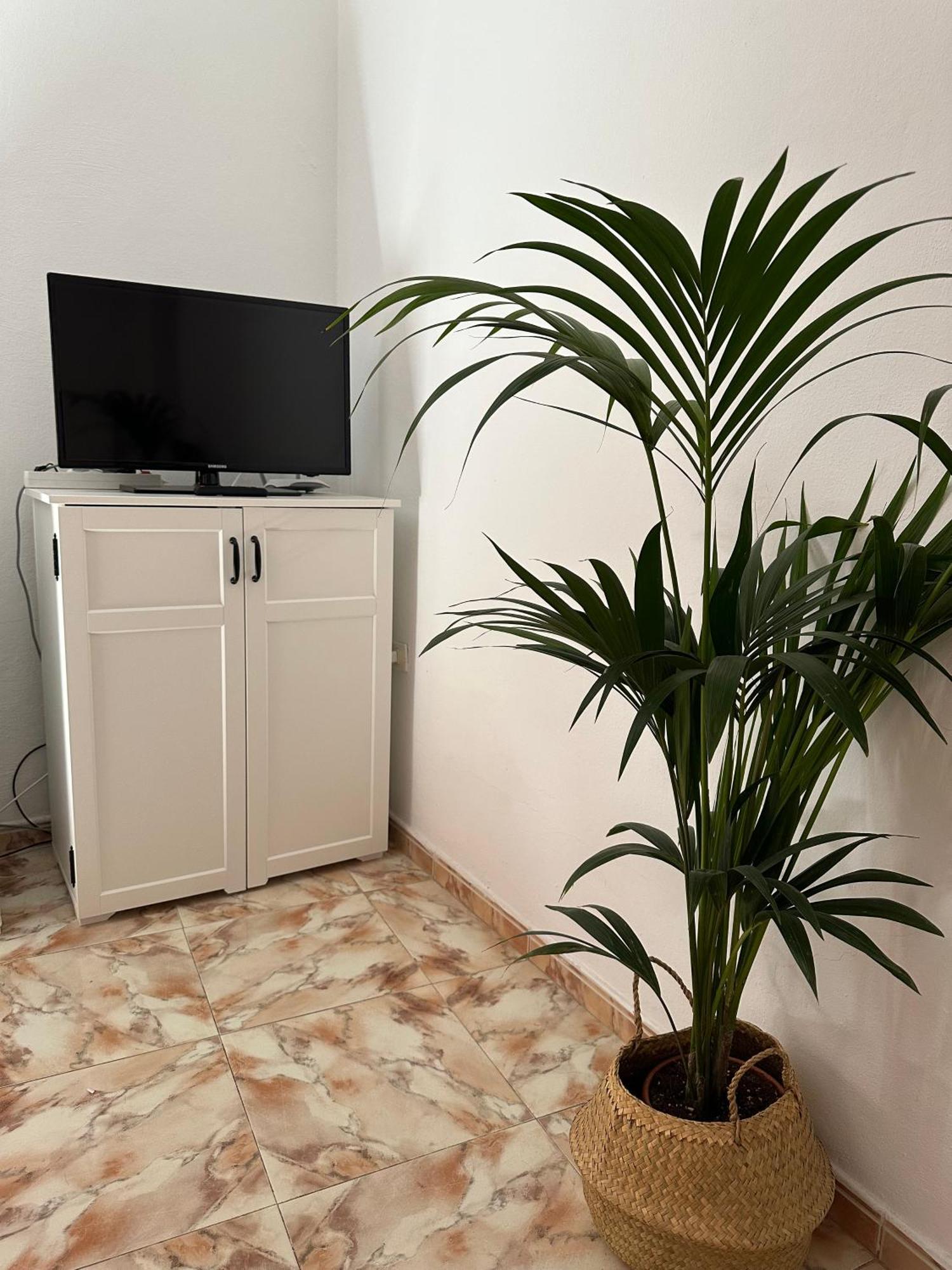 Apartamento Fortaleza Vallehermoso Dış mekan fotoğraf