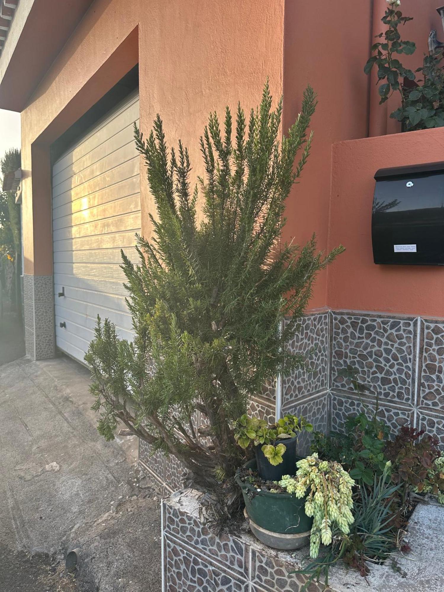 Apartamento Fortaleza Vallehermoso Dış mekan fotoğraf